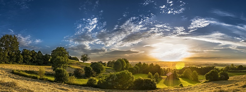 Bild von kalim - bigstockphoto.com