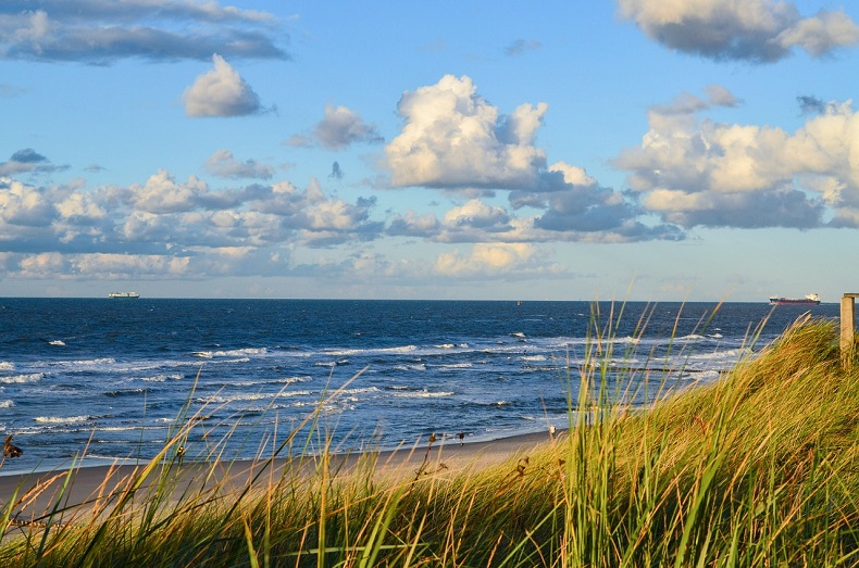 Bild von Henning Westerkamp auf Pixabay