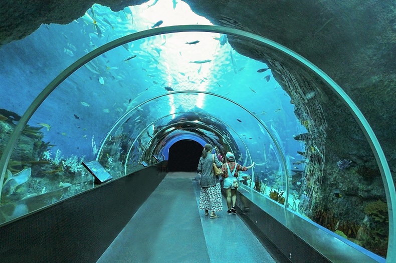 S.E.A. Aquarium in Singapur - Stockfoto-ID: 308917120 Copyright: pumpza