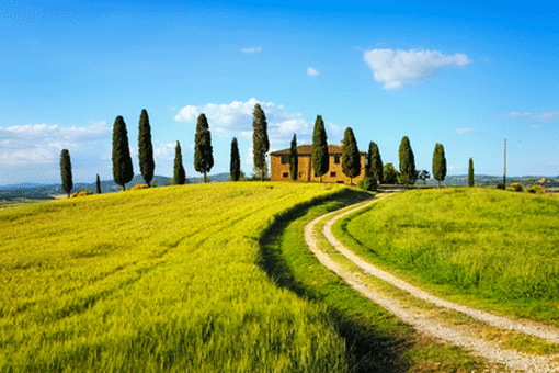 Typisches Landschaftsbild der Toskana © stevanzz | Fotolia.com